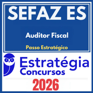 sefaz-es-auditor